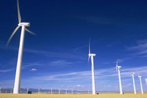 能源/风能行业